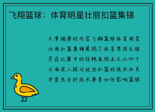 飞翔篮球：体育明星壮丽扣篮集锦