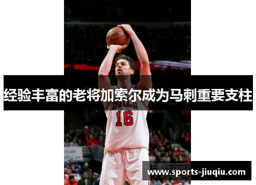 经验丰富的老将加索尔成为马刺重要支柱